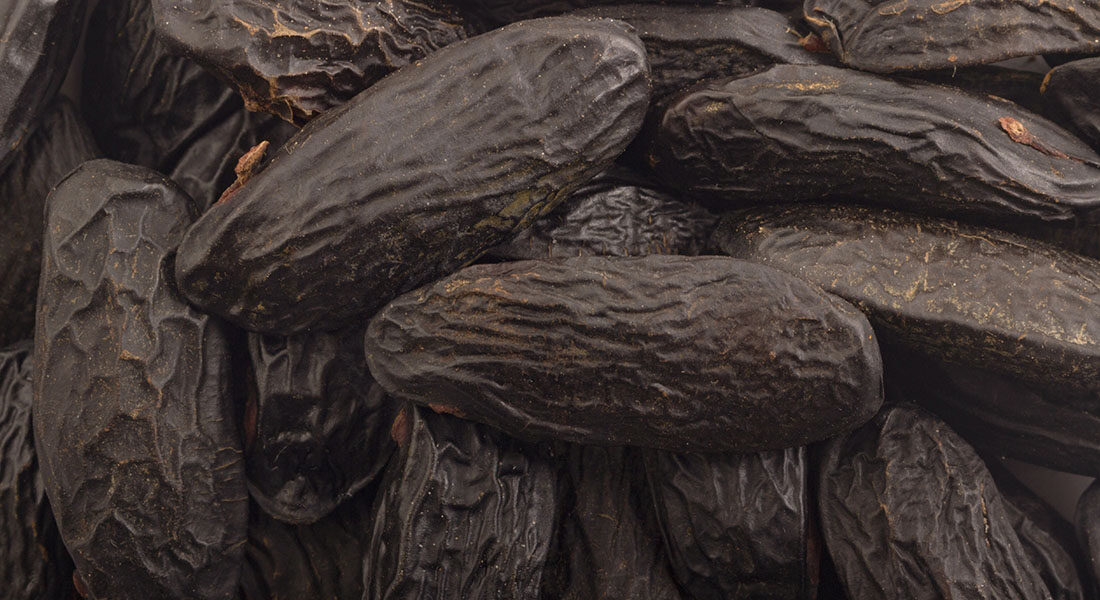 What Does Tonka Bean Smell Like? - LAFCO New York